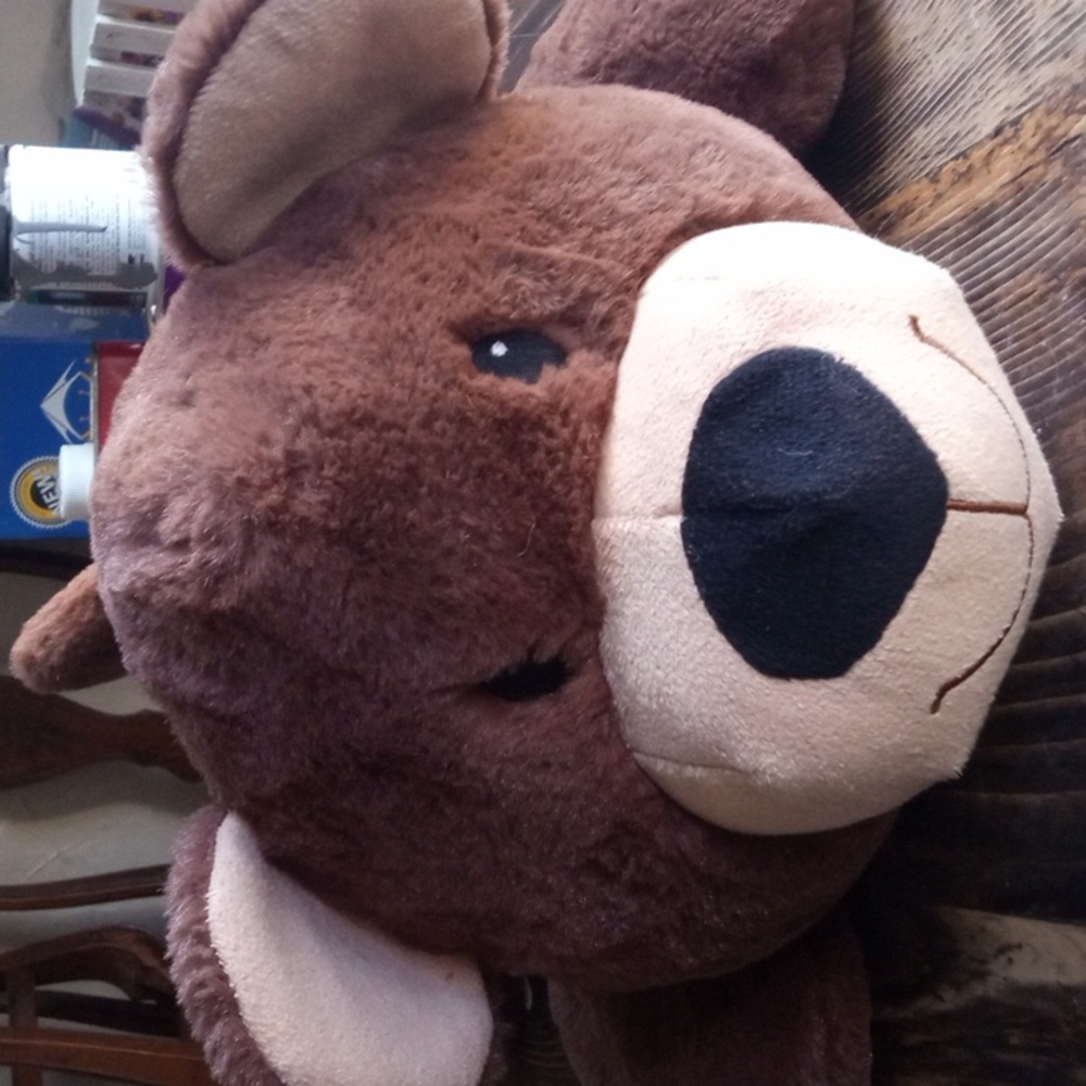Dog toy Teddy Bear